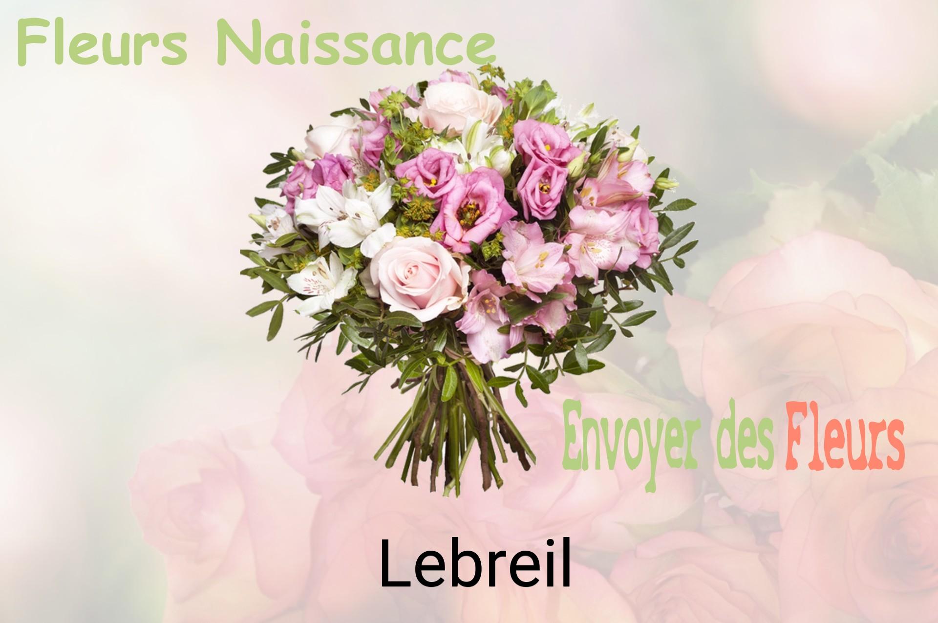 Bouquet de fleurs de naissance livré à Lebreil